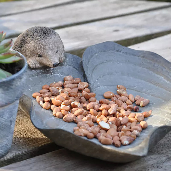 Honey & Wild Birdbath/Feeder Hedgehog On Leaf image 0