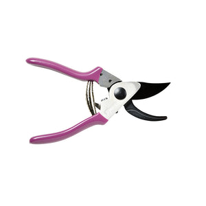 Burgon & Ball RHS Asteraceae Pruner & Holster Gift Set image 5