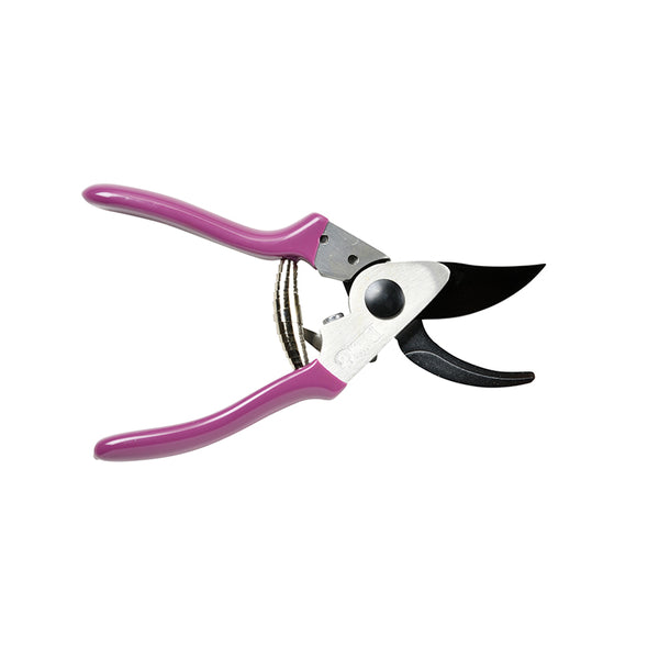 Burgon & Ball RHS Asteraceae Pruner & Holster Gift Set image 5