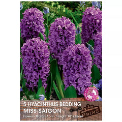 Hyacinth 'Miss Saigon' (5 bulbs) image 0