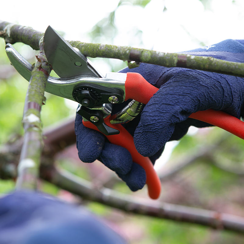 Wilkinson Sword Folding Saw & Pruner Set image 0
