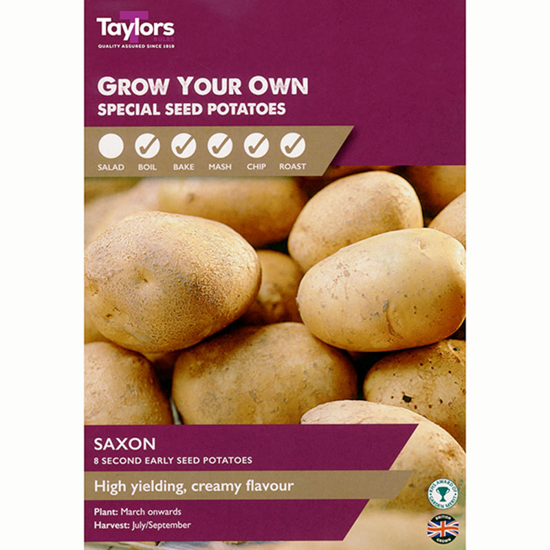 Saxon Second Early Seed Potatoes (Pack of 8) image 0