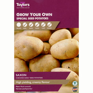 Saxon Second Early Seed Potatoes (Pack of 8) image 0