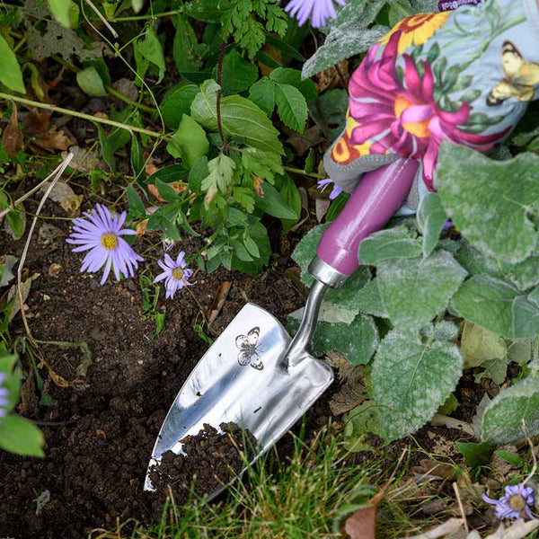 Burgon & Ball RHS Asteraceae Trowel & Fork Gift Set image 2