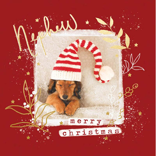 Woodmansterne Nephew Christmas Card image 0