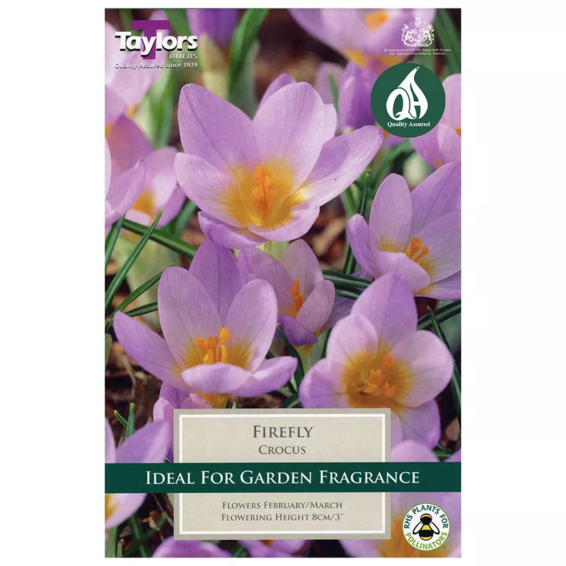 Crocus 'Firefly' (12 bulbs) image 0