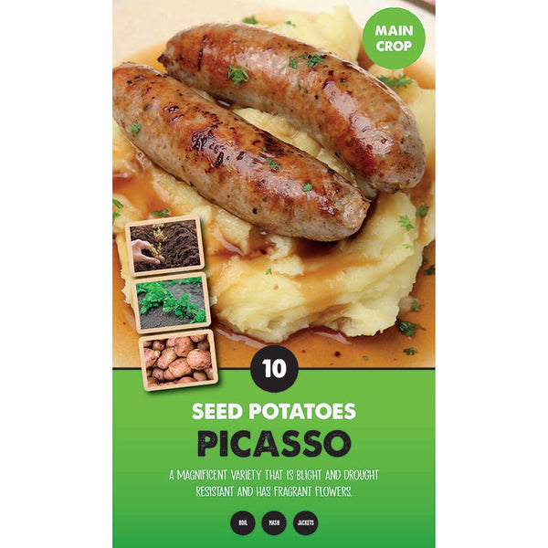 Picasso Main Crop Seed Potatoes - Pack of 10 image