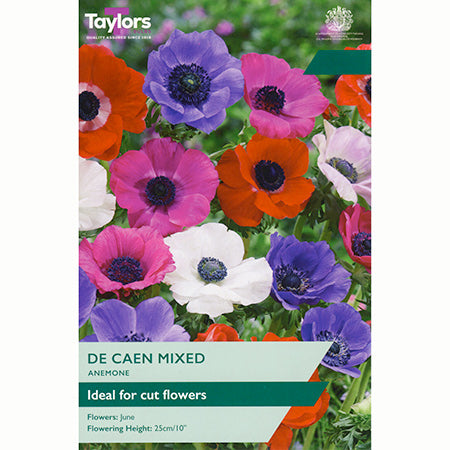 Anemone coronaria De Caen Group Mixed (15 Bulbs) image 0