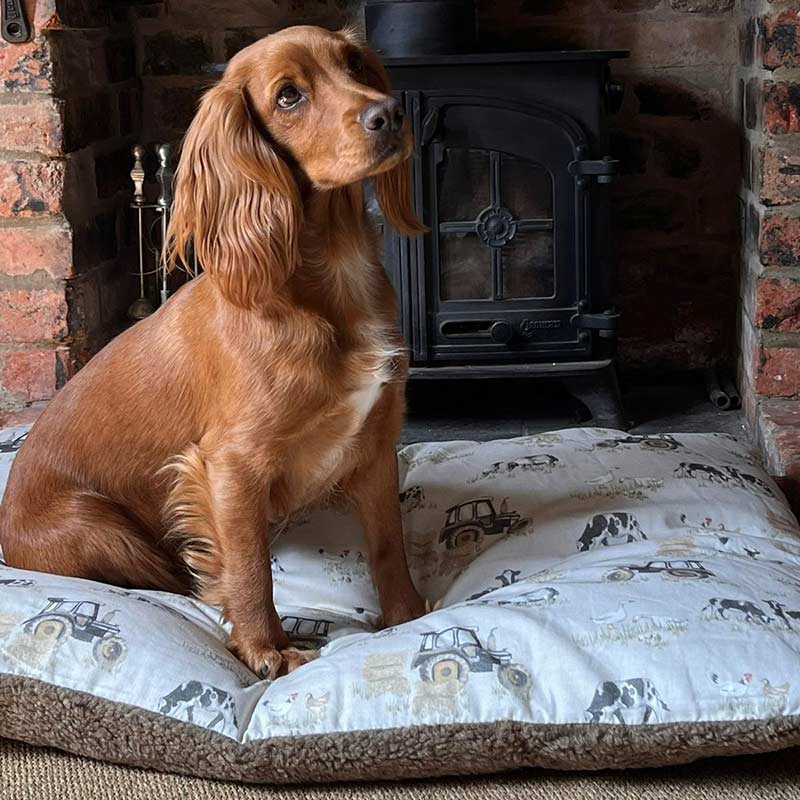 Snug & Cosy Farmyard Dog Lounger Cream image 0