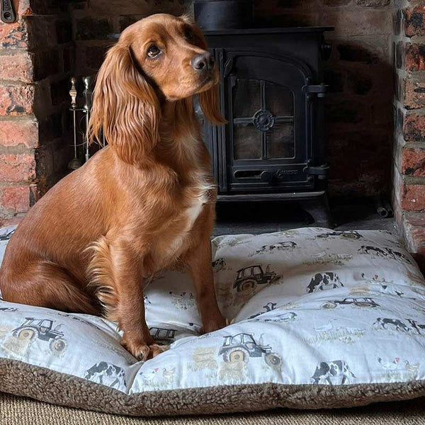 Snug & Cosy Farmyard Dog Lounger Cream image 0