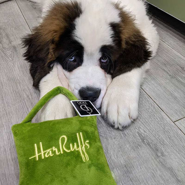 CatwalkDog HarRuffs Bag Plush Dog Toy image 2