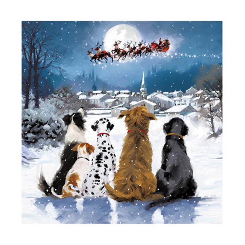 Woodmansterne Christmas Wishes Dog Christmas Card image 0