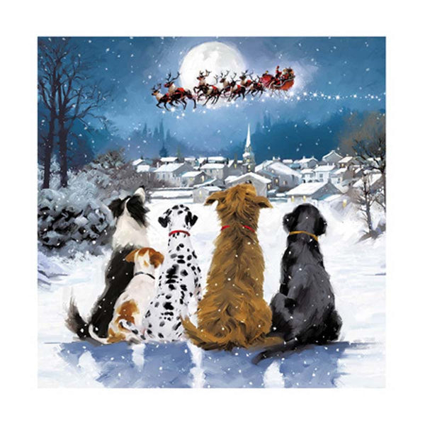 Woodmansterne Christmas Wishes Dog Christmas Card image 0