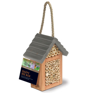 Tom Chambers Happy Bee Box image 0