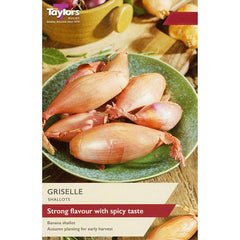 'Griselle' Shallot Sets image 0