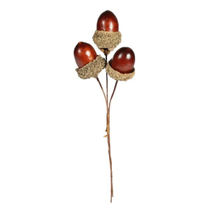 APAC Brown Acorn Picks image 0