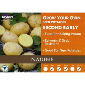 Nadine Second Early Seed Potatoes image 0