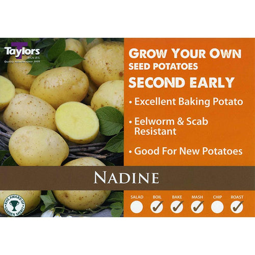 Nadine Second Early Seed Potatoes image 0
