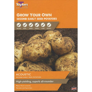 Acoustic Second Early Seed Potatoes - Pack of 10 image