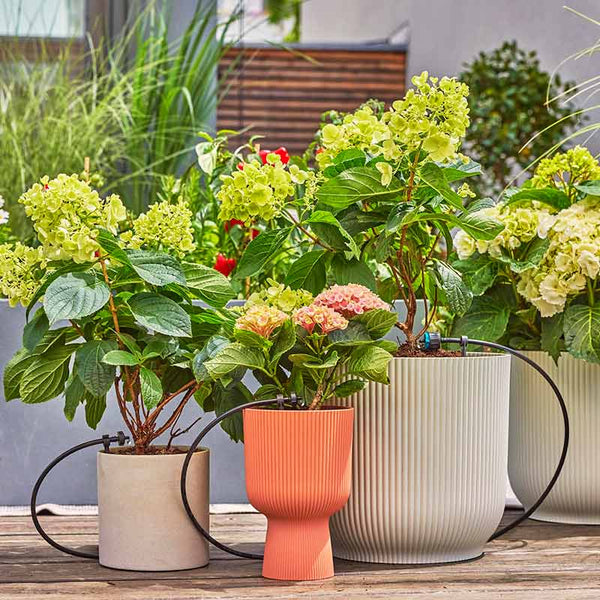 Gardena Micro-Drip Irrigation Balcony Set (15 plants) image 1