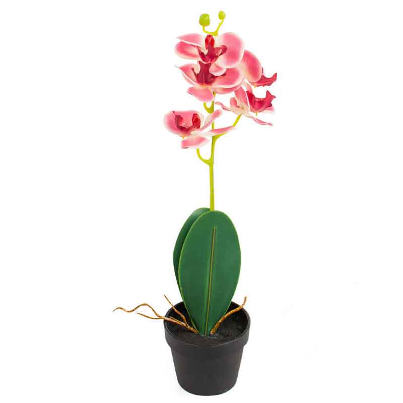 Pink Orchid in Pot (44cm) image 0
