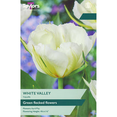Tulip ‘White Valley’ (6 Bulbs) image 0
