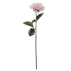 Single Dahlia Stem (61cm) - Light Pink image