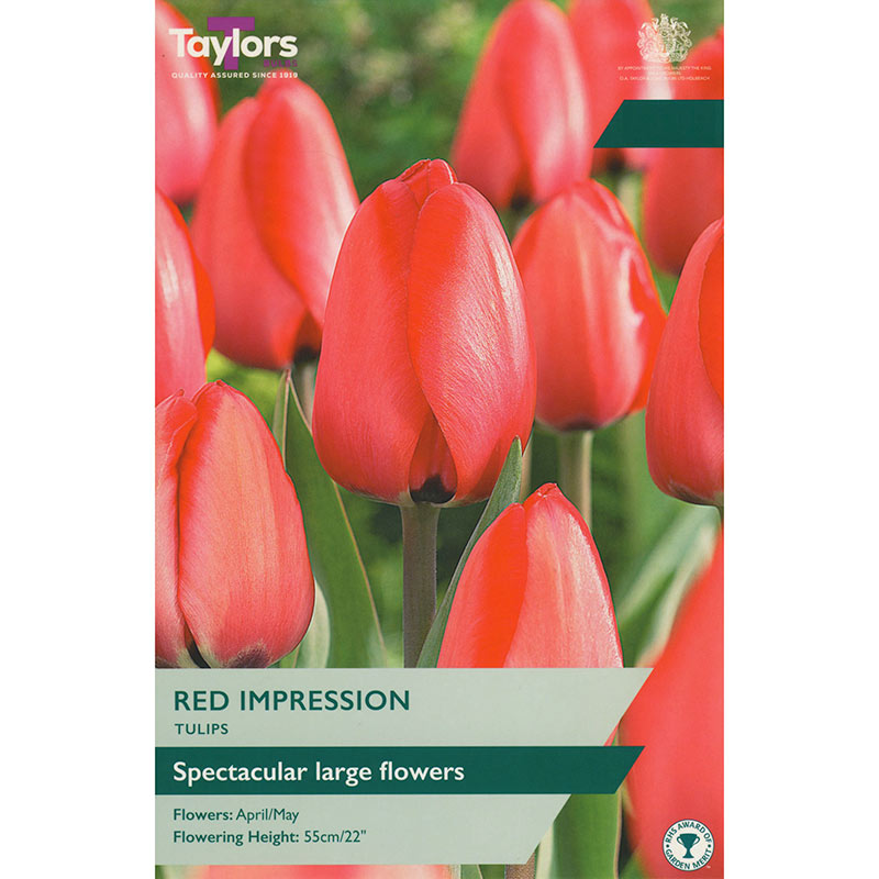 Tulip ‘Red Impression’ (7 Bulbs) image 0
