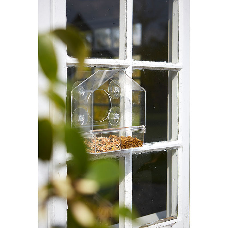 Tom Chambers Observer Window Feeder image 0
