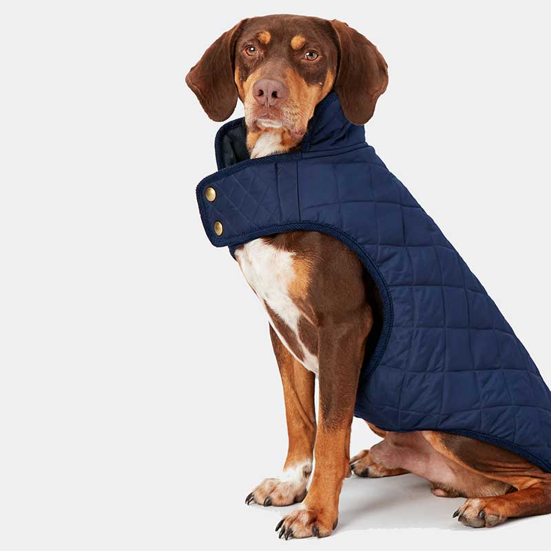 Joules Navy Quilted Dog Coat image 0