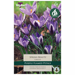Crocus minimus 'Spring Beauty' (10 bulbs) image 0