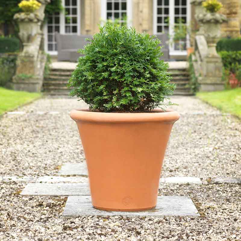 Yorkshire Flowerpots Classics Range Flowerpot (Large) image 0