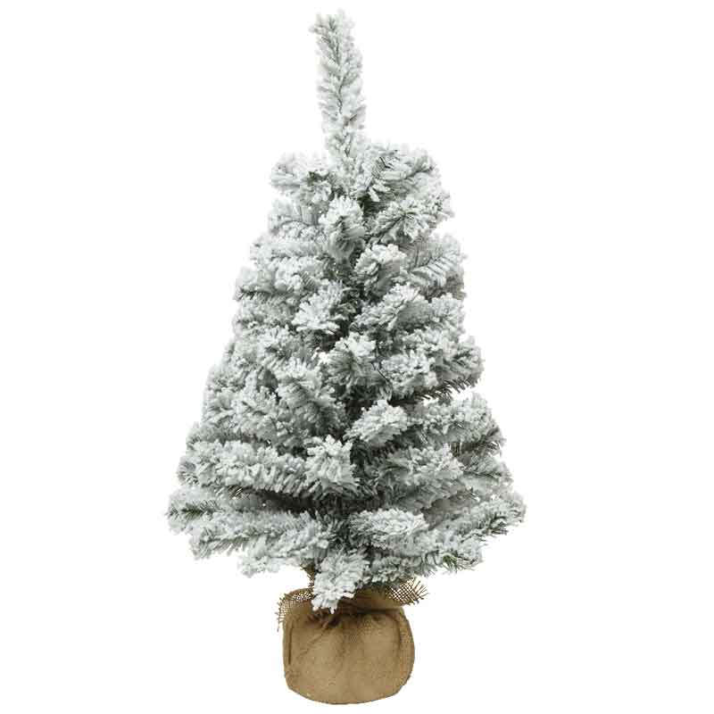 Everlands Mini Snowy Imperial Pine image 0