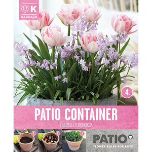 Tulip & Chionodoxa Patio Container Collection (20 bulbs) image 0