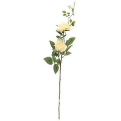 Hamilton Cream Rose Spray - 2 Heads (79cm) image 0
