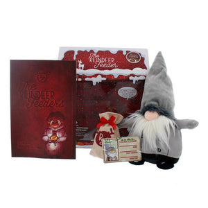 Festive Reindeer Feeder Kit image 0