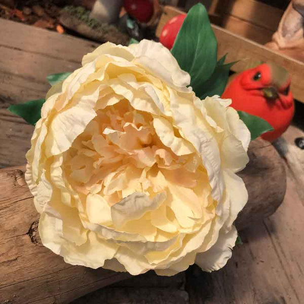 Single Cream Peony Stem (71cm) image 0