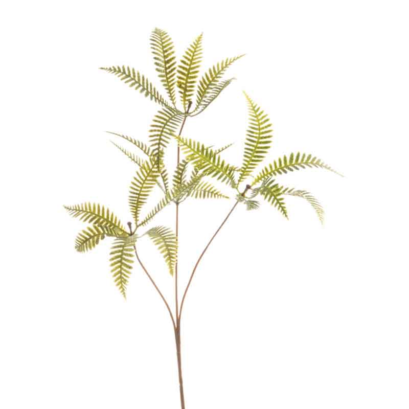 Floralsilk Green Fern Stem (61cm) image 0