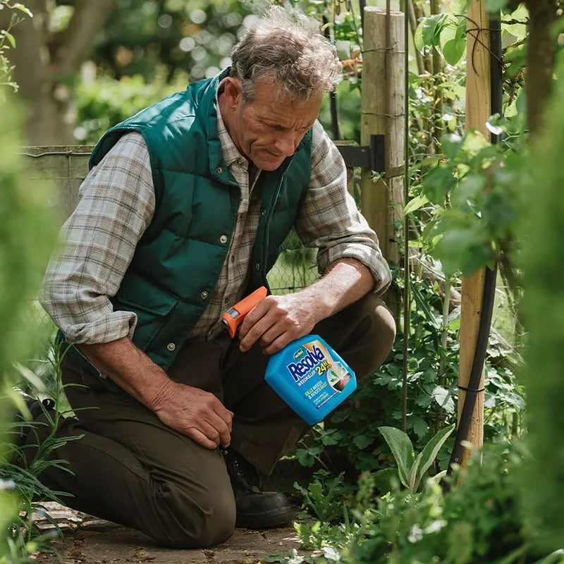 Westland Resolva 24H Ready-To-Use Weedkiller image 0