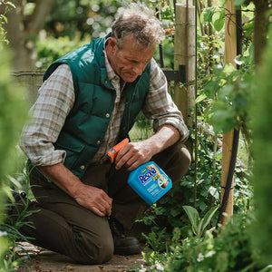 Westland Resolva 24H Ready-To-Use Weedkiller image 1
