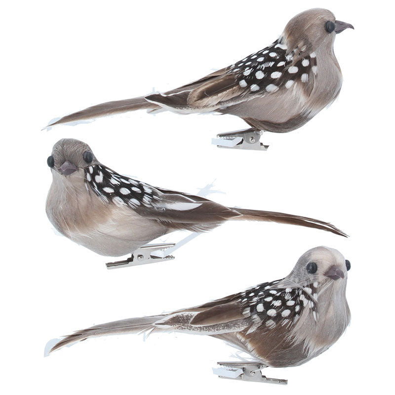 Gisela Graham Bird Clip with Natural Feathers (Assorted Designs) image 0