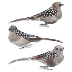 Gisela Graham Bird Clip with Natural Feathers (Assorted Designs) image 0