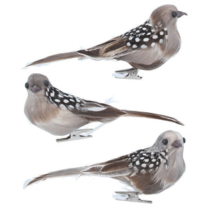 Gisela Graham Bird Clip with Natural Feathers (Assorted Designs) image 0