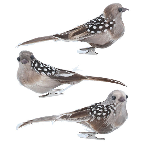 Gisela Graham Bird Clip with Natural Feathers (Assorted Designs) image 0