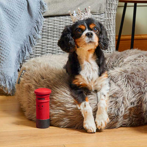 Petface Percy Postbox image 0