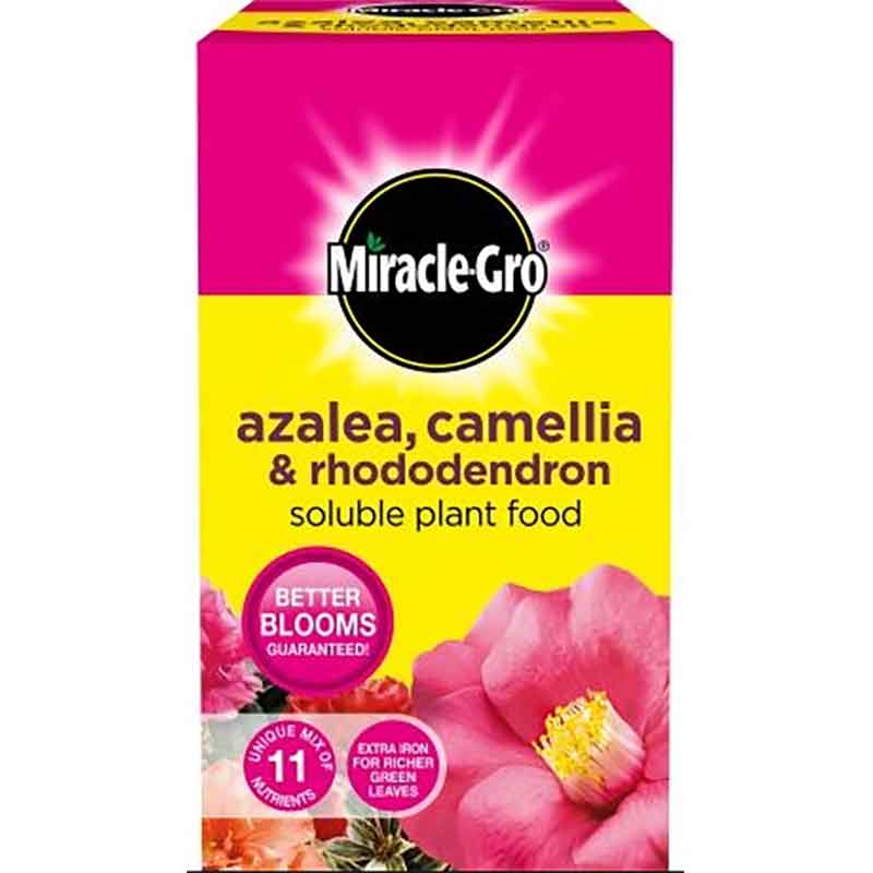 Miracle-Gro Azalea, Camellia & Rhododendron Soluble Plant Food (500g) image 0