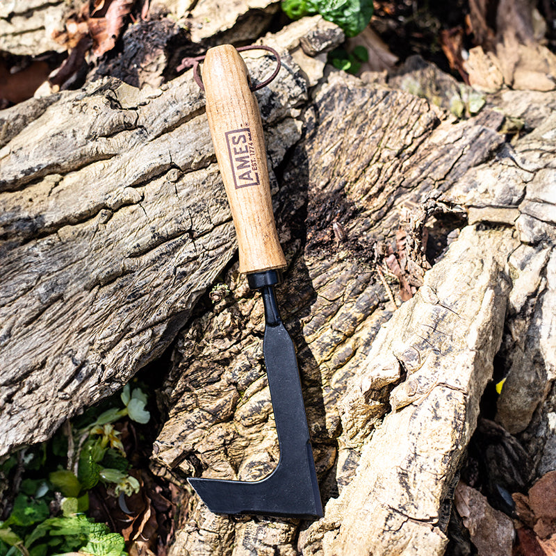 AMES Hand Patio Weeder Carbon Steel image 0