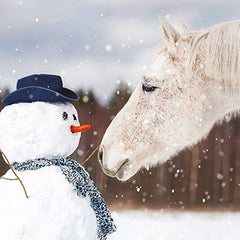 Ling Design Charity Christmas Cards - Festive Friend (Pack of 6) image 0
