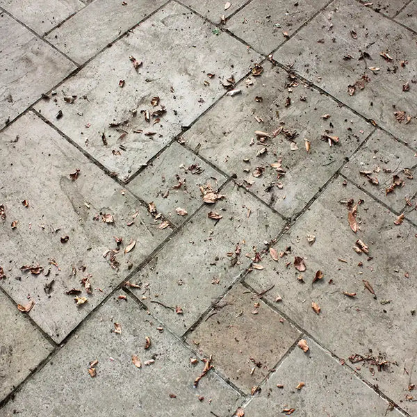 Burgon & Ball Miracle Patio Surface Cleaning Brush image 2