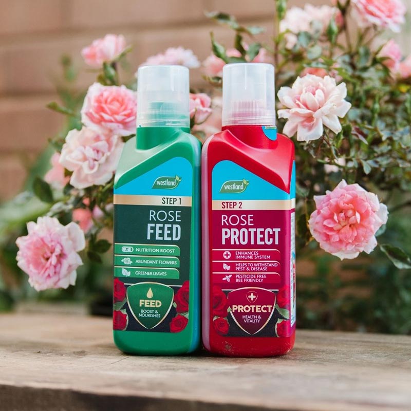 Westland Rose 2 in 1 Feed & Protect image 0